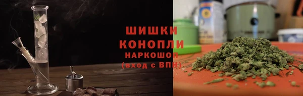 шишки Майский