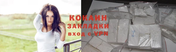 спиды Магас