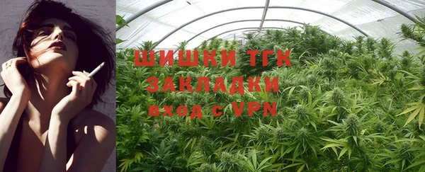 спиды Магас