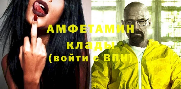 шишки Майский