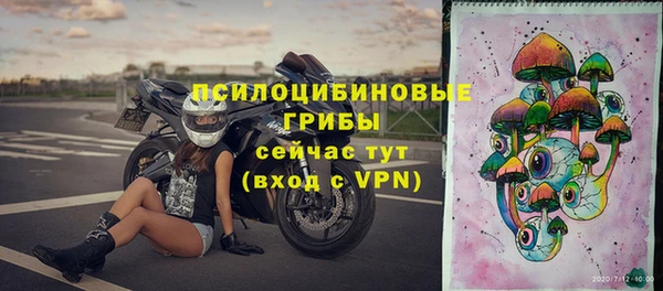 спиды Магас