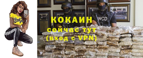 спиды Магас
