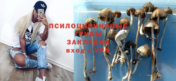 шишки Майский