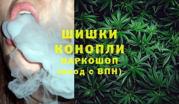 шишки Майский