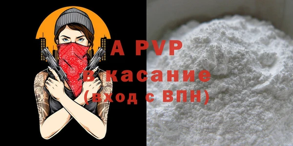 спиды Магас