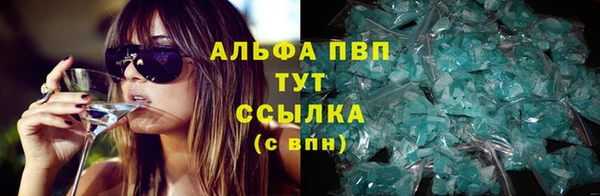 шишки Майский