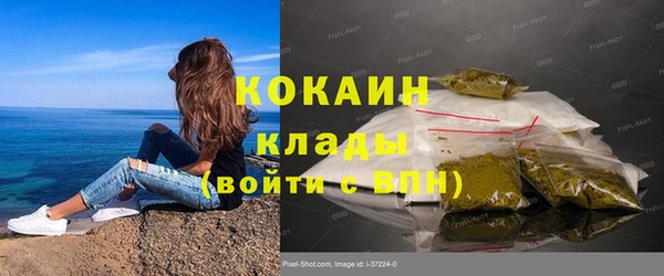 шишки Майский