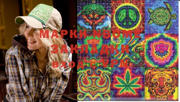 шишки Майский