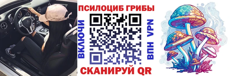 Псилоцибиновые грибы Cubensis  Железноводск 