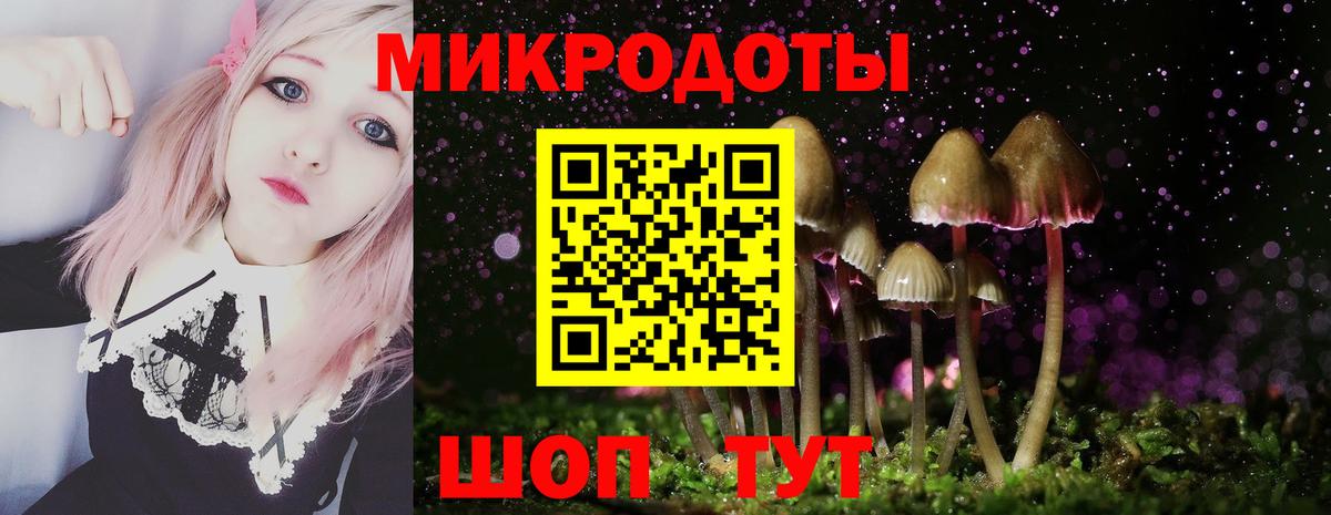 Железноводск  Галлюциногенные грибы мухоморы  купить закладку  Вход с VPN 