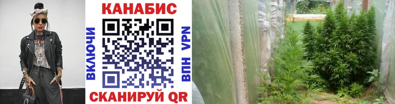 купить наркоту  Железноводск  omg как зайти  Канабис семена 